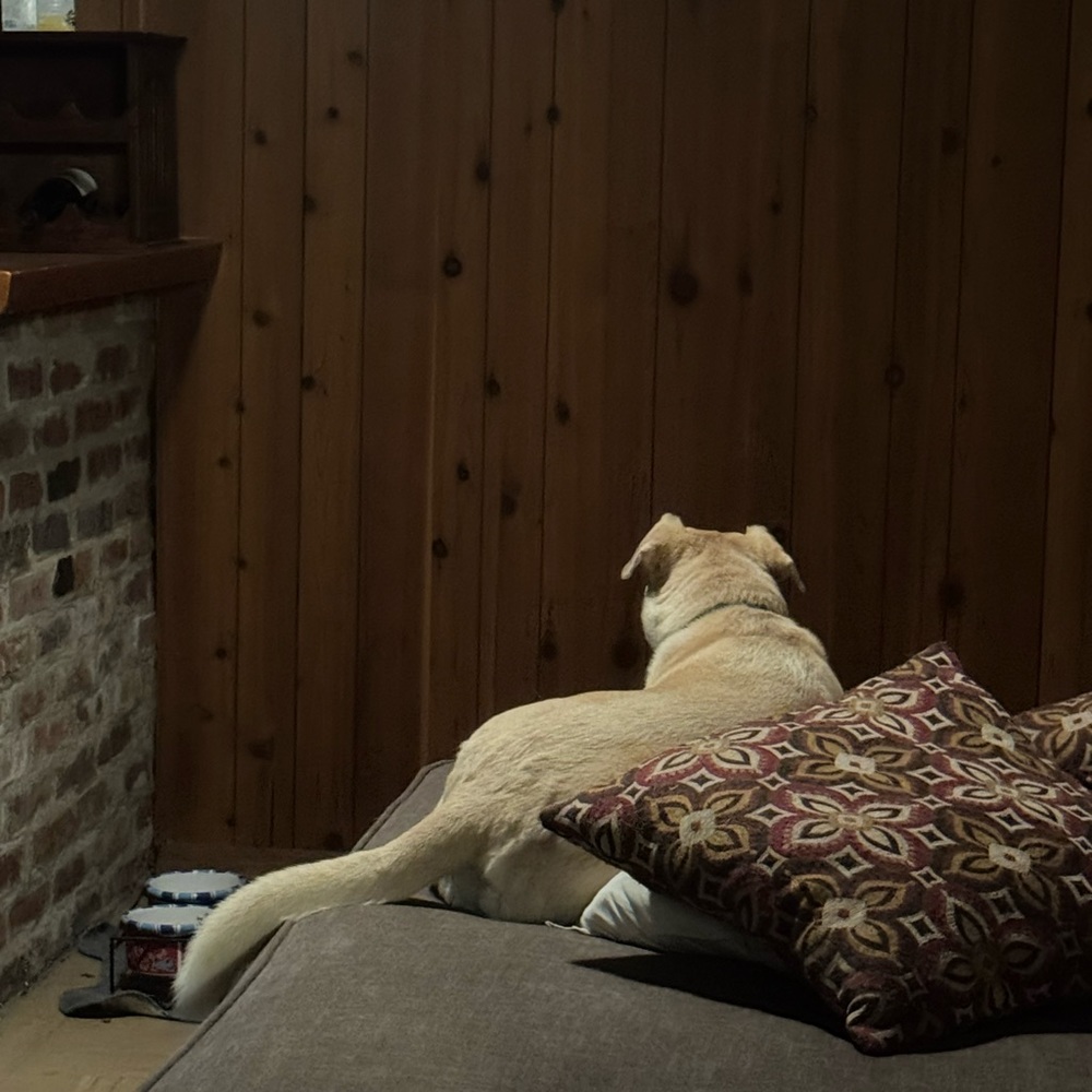 Meet your Posher, Mia